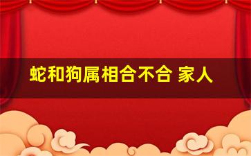 蛇和狗属相合不合 家人